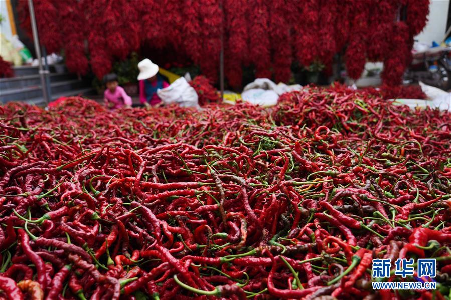 （走向我們的小康生活&middot;決戰(zhàn)決勝脫貧攻堅(jiān)&middot;圖文互動(dòng)）（7）甘青交界處的跨越&mdash;&mdash;保安族、撒拉族的脫貧故事 