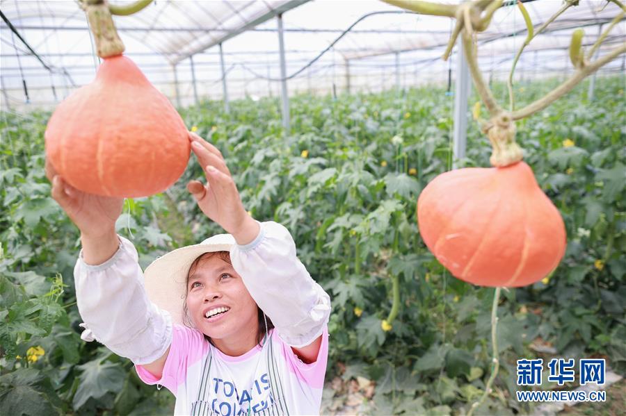 (走向我們的小康生活·決戰(zhàn)決勝脫貧攻堅·圖文互動)(2)麻山突圍記