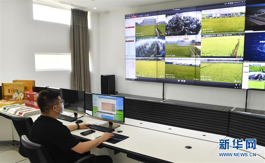 （新華全媒頭條&middot;走向我們的小康生活&middot;圖文互動(dòng)）（4）黑土地上是我家&mdash;&mdash;在吉林，一瞥中國(guó)東北鄉(xiāng)村美麗未來