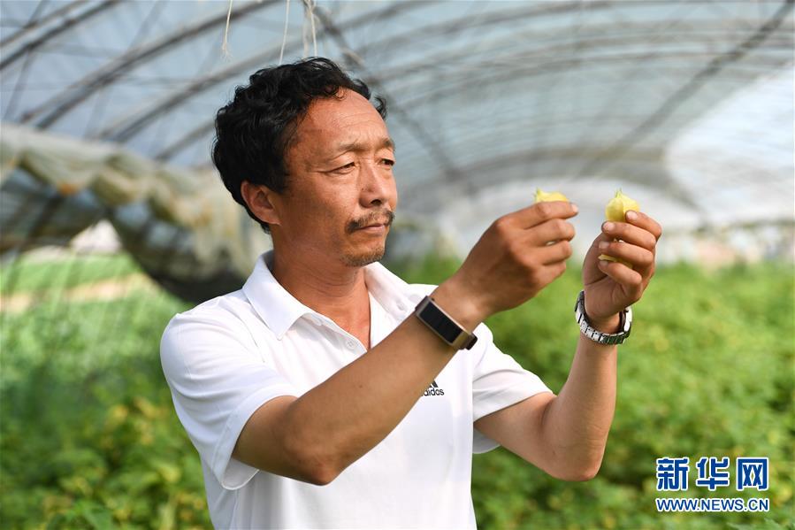 （新華全媒頭條&middot;走向我們的小康生活&middot;圖文互動(dòng)）（7）黑土地上是我家&mdash;&mdash;在吉林，一瞥中國(guó)東北鄉(xiāng)村美麗未來