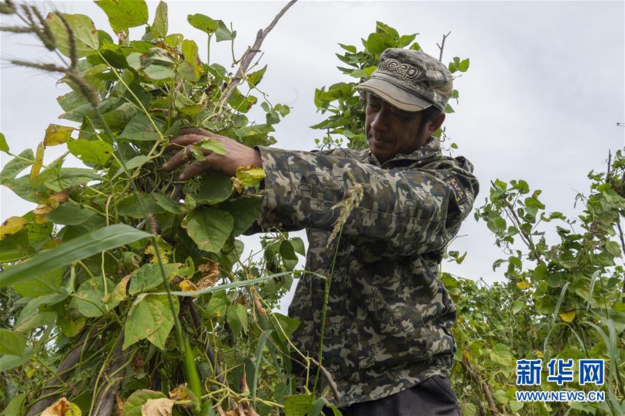 (決戰(zhàn)決勝脫貧攻堅(jiān)·圖文互動(dòng))(3)團(tuán)結(jié)村的李輝新傳