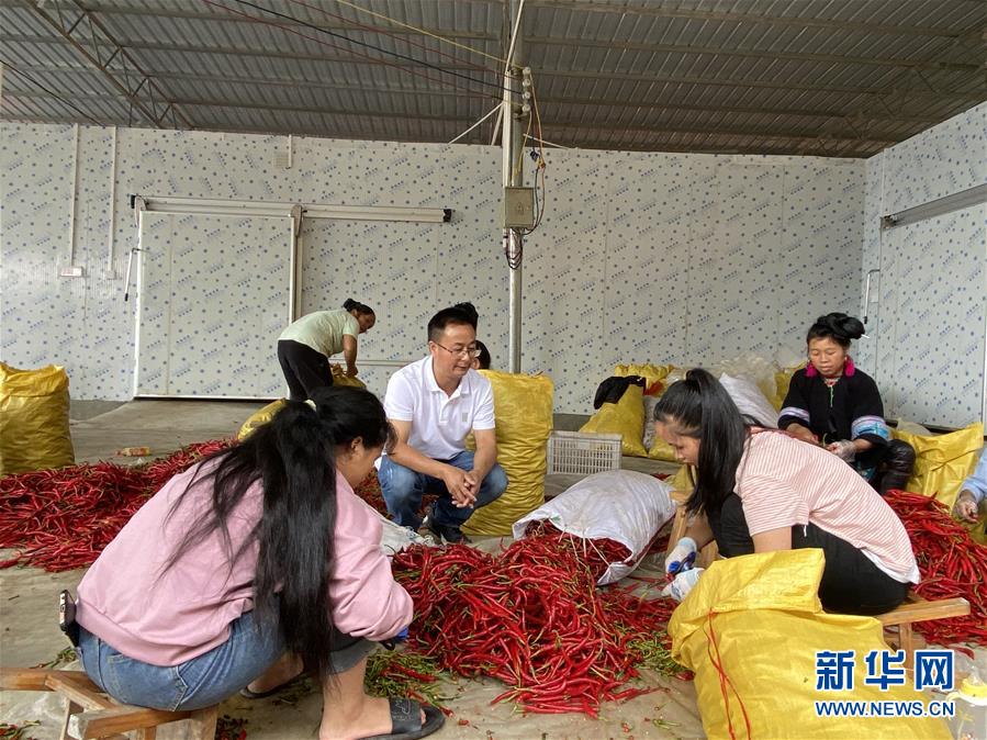 （新華全媒頭條&middot;決戰(zhàn)決勝脫貧攻堅(jiān)&middot;督戰(zhàn)未摘帽貧困縣&middot;圖文互動）（6）把&ldquo;最能打的人&rdquo;放在最需要的地方&mdash;&mdash;聚焦貴州未脫貧縣里的&ldquo;助攻干部&rdquo;