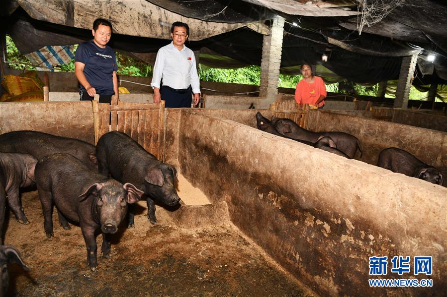 （新華全媒頭條&middot;決戰(zhàn)決勝脫貧攻堅(jiān)&middot;督戰(zhàn)未摘帽貧困縣&middot;圖文互動）（9）把&ldquo;最能打的人&rdquo;放在最需要的地方&mdash;&mdash;聚焦貴州未脫貧縣里的&ldquo;助攻干部&rdquo;