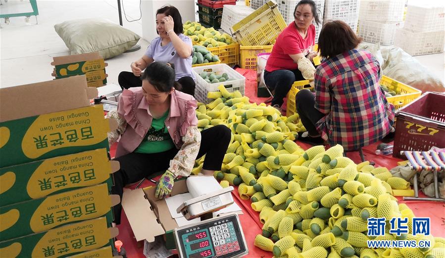 （決戰(zhàn)決勝脫貧攻堅&middot;圖文互動）（3）同飲一江水 攜手&ldquo;斬窮根&rdquo;&mdash;&mdash;深圳對口廣西河池、百色扶貧協(xié)作見聞