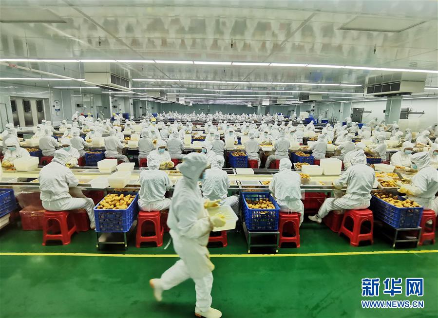 （決戰(zhàn)決勝脫貧攻堅&middot;圖文互動）（8）同飲一江水 攜手&ldquo;斬窮根&rdquo;&mdash;&mdash;深圳對口廣西河池、百色扶貧協(xié)作見聞