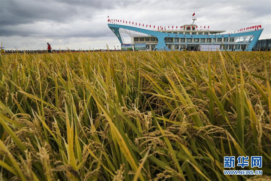(新華全媒頭條·圖文互動(dòng))(1)天道酬勤的大地贊歌——寫(xiě)在第三個(gè)中國(guó)農(nóng)民豐收節(jié)之際