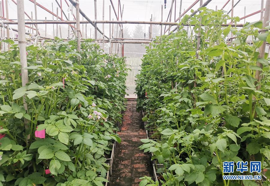 (新華全媒頭條·圖文互動(dòng))(8)天道酬勤的大地贊歌——寫(xiě)在第三個(gè)中國(guó)農(nóng)民豐收節(jié)之際