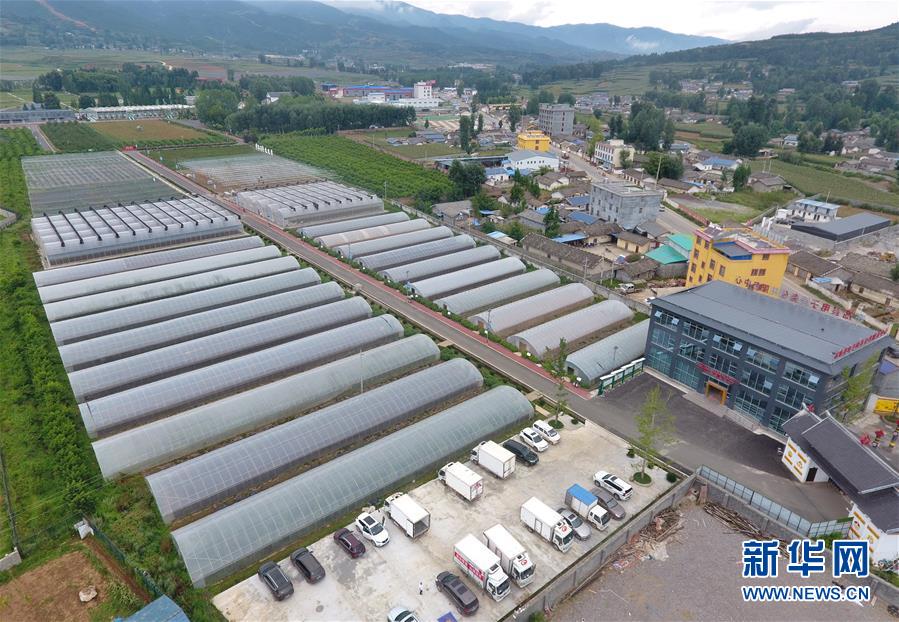 (走向我們的小康生活·決戰(zhàn)決勝脫貧攻堅(jiān)·圖文互動(dòng))(1)把產(chǎn)業(yè)興盛之“根”扎進(jìn)大涼山