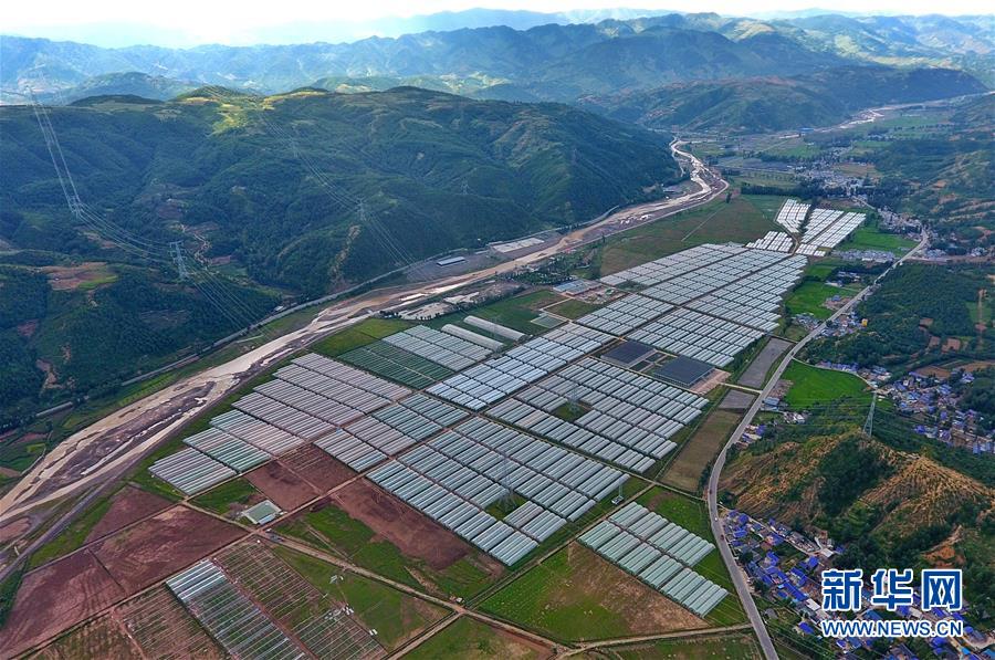 (走向我們的小康生活·決戰(zhàn)決勝脫貧攻堅(jiān)·圖文互動(dòng))(2)把產(chǎn)業(yè)興盛之“根”扎進(jìn)大涼山