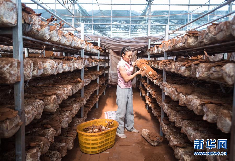 （新華全媒頭條&middot;走向我們的小康生活&middot;圖文互動）（3）特殊之年，荊楚大地書寫不平凡的答卷