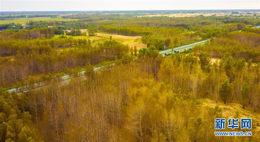 （在習(xí)近平新時代中國特色社會主義思想指引下&mdash;&mdash;新時代新作為新篇章&middot;習(xí)近平總書記關(guān)切事&middot;圖文互動）（3）綠意，在黃沙中鋪展&mdash;&mdash;我國防沙治沙紀(jì)實(shí)