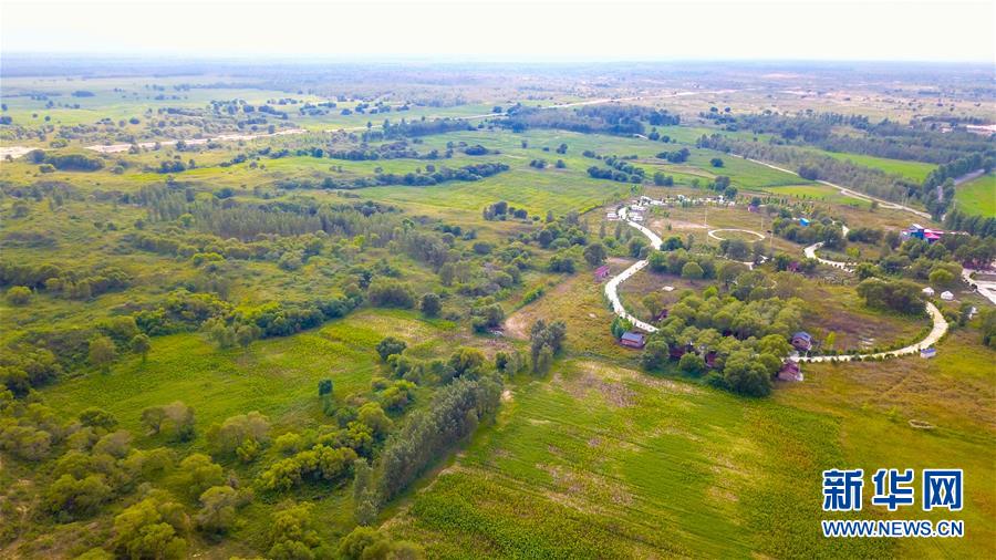 （在習(xí)近平新時代中國特色社會主義思想指引下&mdash;&mdash;新時代新作為新篇章&middot;習(xí)近平總書記關(guān)切事&middot;圖文互動）（1）綠意，在黃沙中鋪展&mdash;&mdash;我國防沙治沙紀(jì)實(shí)