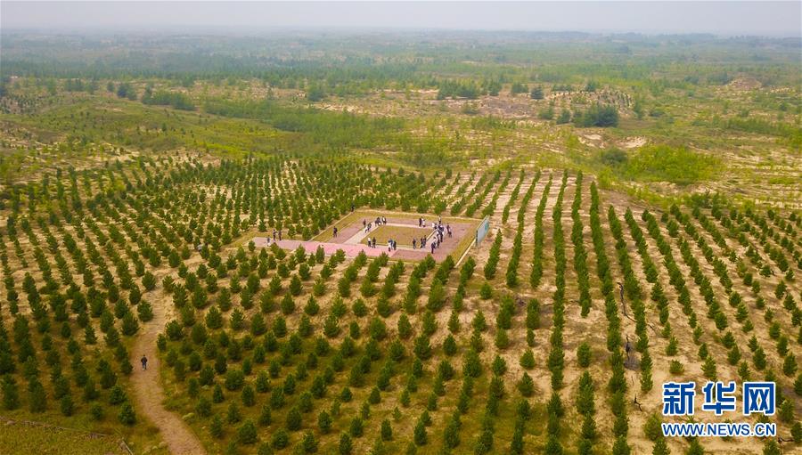 （在習(xí)近平新時代中國特色社會主義思想指引下&mdash;&mdash;新時代新作為新篇章&middot;習(xí)近平總書記關(guān)切事&middot;圖文互動）（2）綠意，在黃沙中鋪展&mdash;&mdash;我國防沙治沙紀(jì)實(shí)