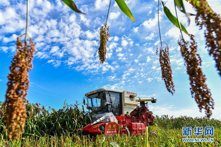 （新華全媒頭條&middot;圖文互動(dòng)）（17）奮斗結(jié)碩果，再寫新篇章&mdash;&mdash;寫在共和國(guó)71周年華誕之際