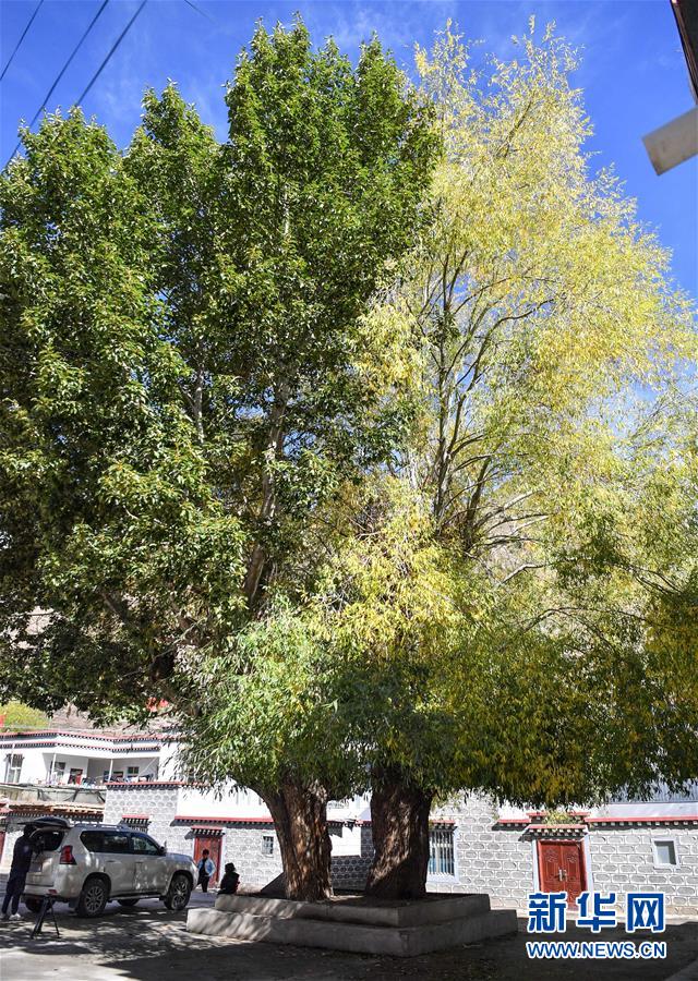 (圖文互動(dòng))(2)歷史遺跡的述說——西藏昌都源遠(yuǎn)流長(zhǎng)的民族團(tuán)結(jié)故事