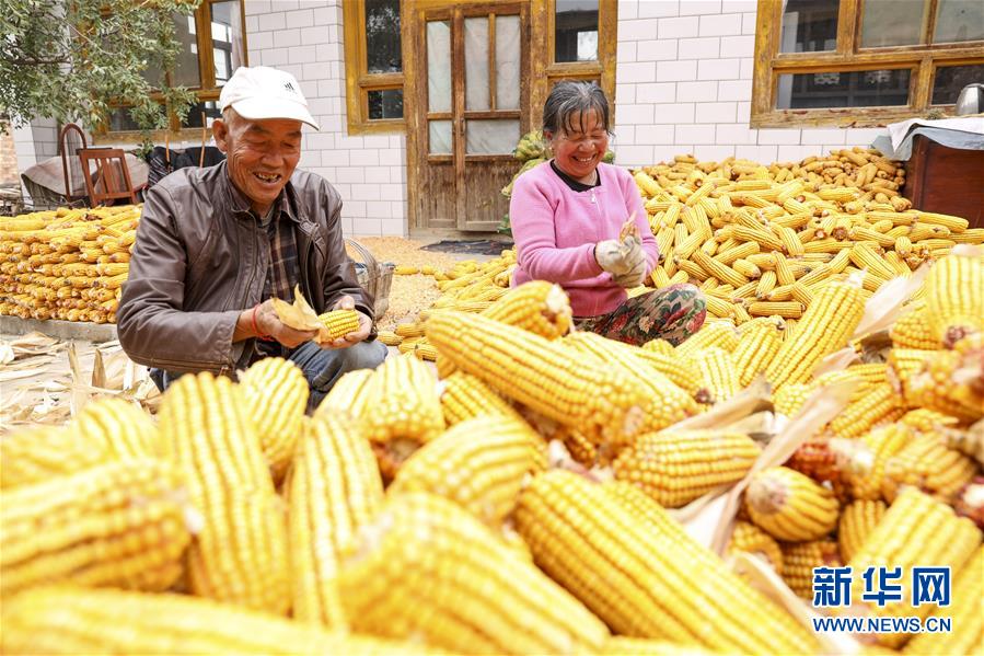 (全面建成小康社會(huì)“百城千縣萬村調(diào)研行”·圖文互動(dòng))(4)寧夏華寺村:做活“土”文章 村民享小康