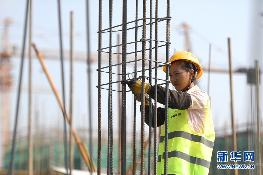 (社會)(11)堅(jiān)守崗位過假期