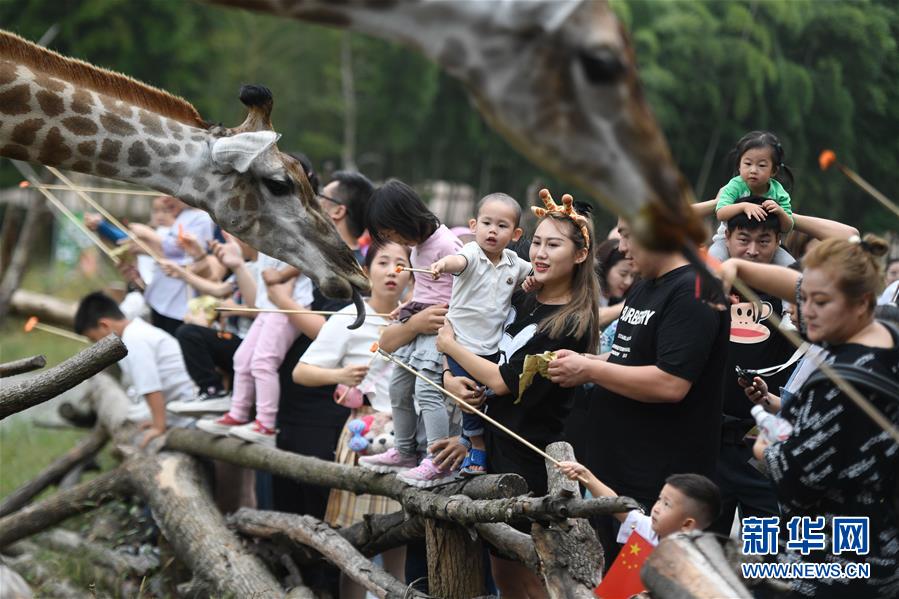 (新華全媒頭條·圖文互動(dòng))(9)“綠”從天目盎然出——湖州做好“六穩(wěn)”工作落實(shí)“六保”任務(wù)新觀察