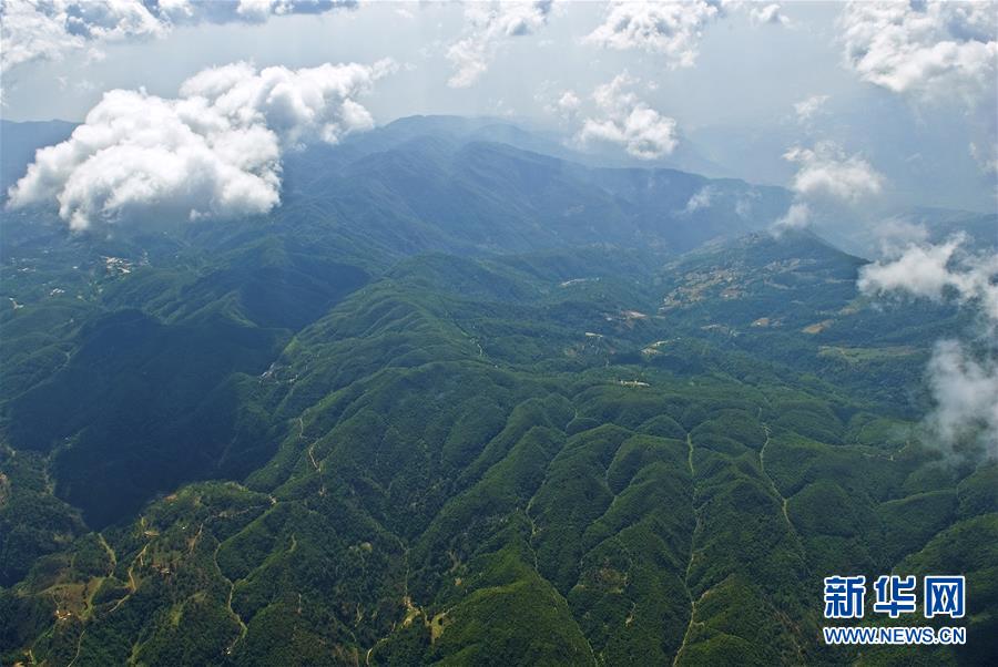 （熱點鮮報&middot;圖文互動）（1）善洲精神永相傳：留下一片綠洲 造福家鄉(xiāng)百姓