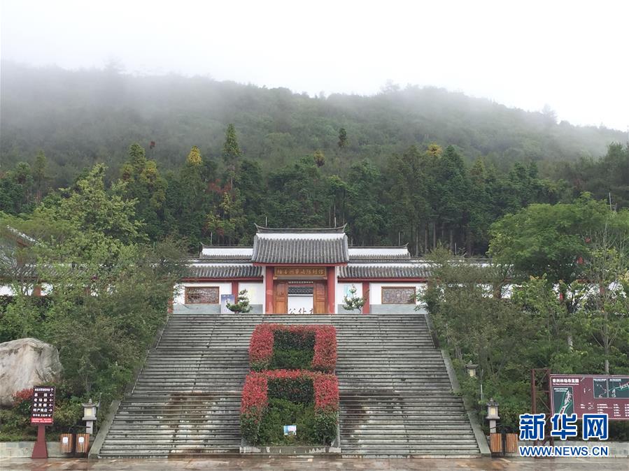 （熱點鮮報&middot;圖文互動）（5）善洲精神永相傳：留下一片綠洲 造福家鄉(xiāng)百姓