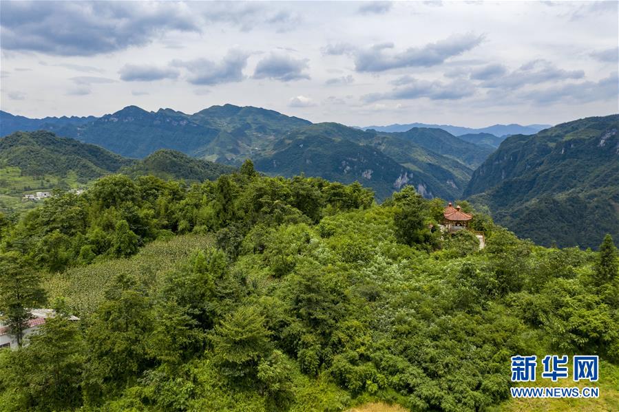 (新華全媒頭條·走向我們的小康生活·決戰(zhàn)決勝脫貧攻堅(jiān)·圖文互動(dòng))(9)昭通之變——全國貧困人口最多的地級(jí)市跨越記