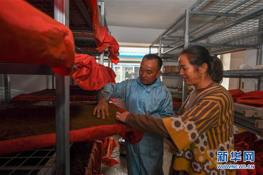 (決戰(zhàn)決勝脫貧攻堅·圖文互動)(5)從“因殘致貧”到“帶頭脫貧”——吉林靖宇有這樣一位“脫貧英雄”