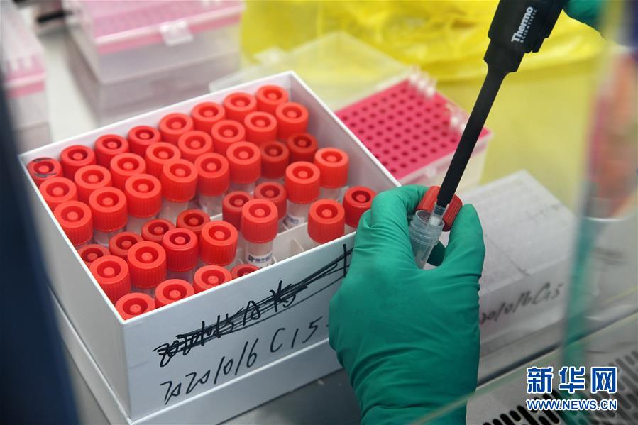 （聚焦疫情防控&middot;圖文互動(dòng)）（5）青島全員核酸檢測(cè)基本完成