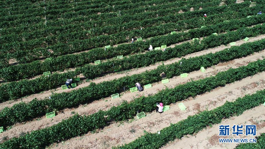 （新華全媒頭條&middot;百萬大移民&middot;圖文互動(dòng)）（8）從大山深處到大河之畔&mdash;&mdash;寧夏持續(xù)移民百萬&ldquo;拔窮根&rdquo;啟示