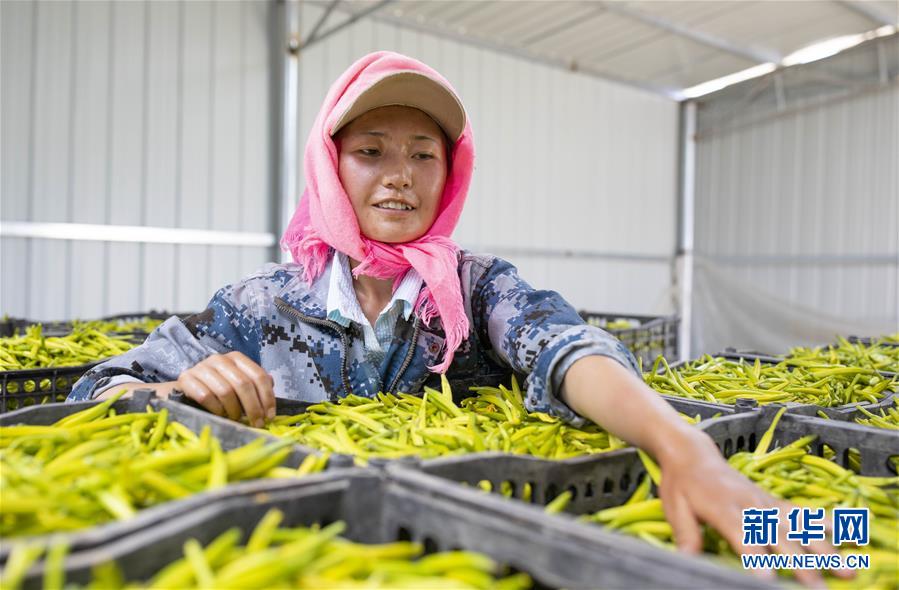 （新華全媒頭條&middot;百萬大移民&middot;圖文互動(dòng)）（9）從大山深處到大河之畔&mdash;&mdash;寧夏持續(xù)移民百萬&ldquo;拔窮根&rdquo;啟示