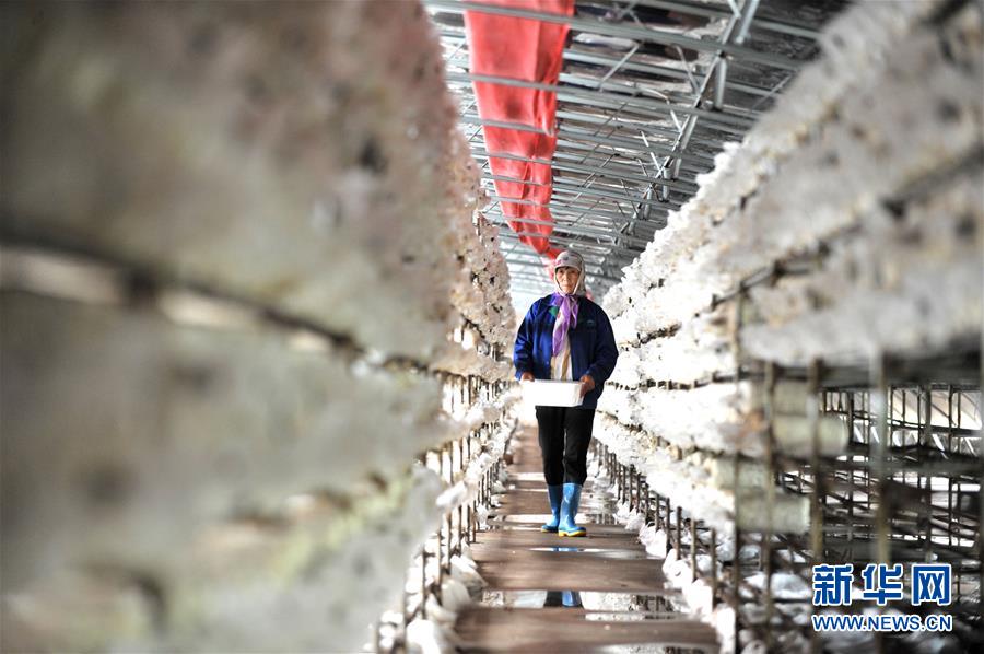 （習(xí)近平的小康故事&middot;圖文互動）（6）&ldquo;我很期盼的一件事，就是讓鄉(xiāng)親們飽餐一頓肉&rdquo;&mdash;&mdash;習(xí)近平和脫貧攻堅(jiān)的故事