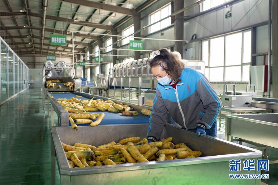 (聚焦疫情防控·圖文互動)(2)把握先機 應對有序——新疆疏附縣全力阻斷新冠肺炎病毒傳播