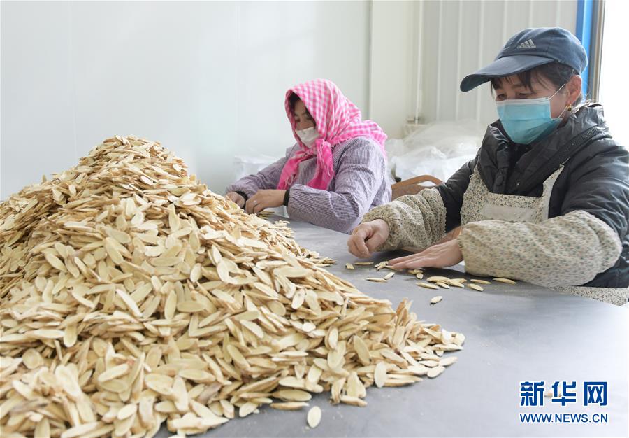 #(脫貧攻堅)(4)甘肅臨夏:東西協(xié)作助力脫貧攻堅