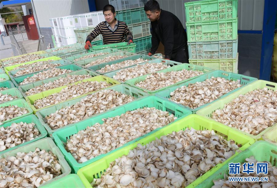 #(脫貧攻堅)(5)甘肅臨夏:東西協(xié)作助力脫貧攻堅