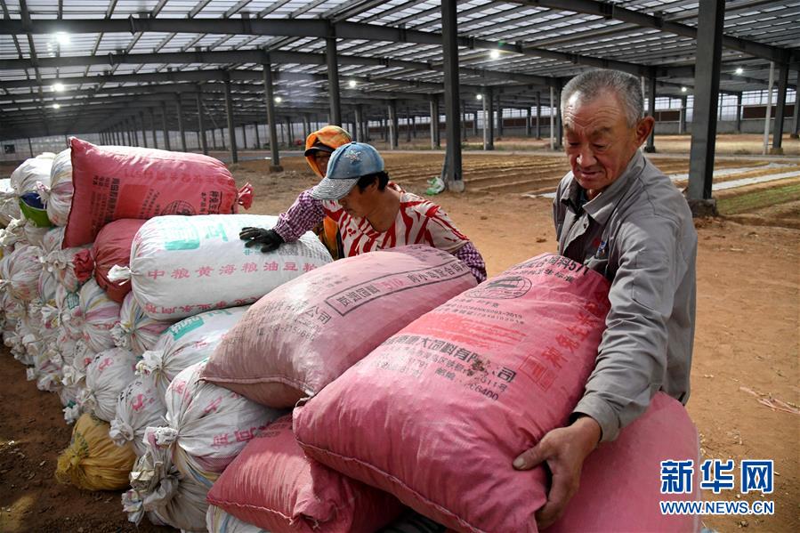 (全面建成小康社會(huì)“百城千縣萬村調(diào)研行”·圖文互動(dòng))(6)青島西海岸新區(qū)以“生態(tài)酵母”激活鄉(xiāng)村振興