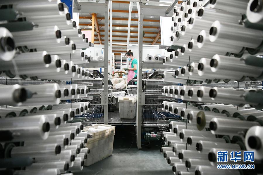 （兩會&middot;熱點畫報）（19）代表委員建言統(tǒng)籌做好經(jīng)濟社會發(fā)展工作