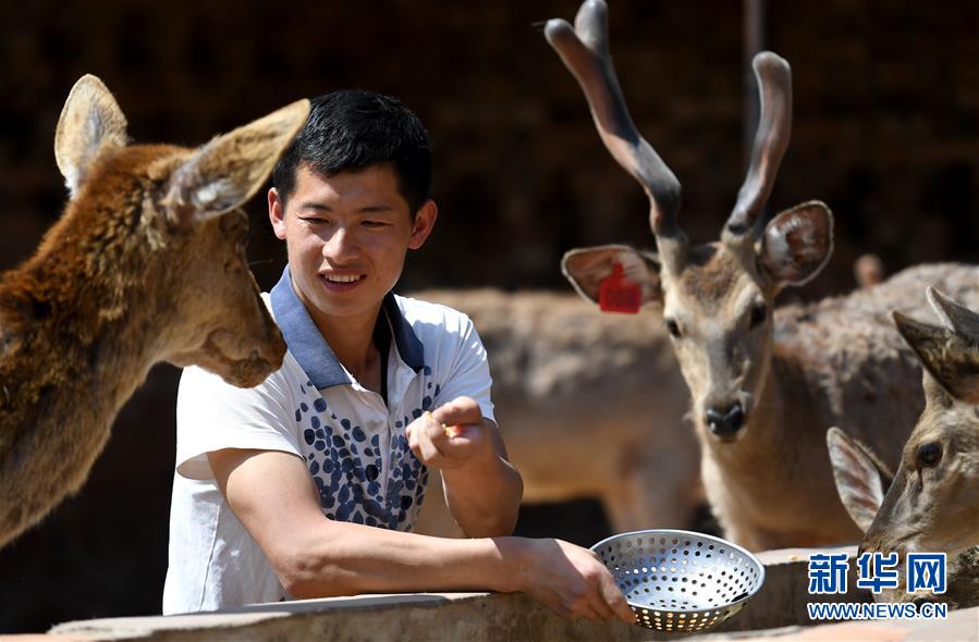 (“中國面貌”系列述評·圖文互動)(3)奇跡中國——70年中國面貌變遷述評之一