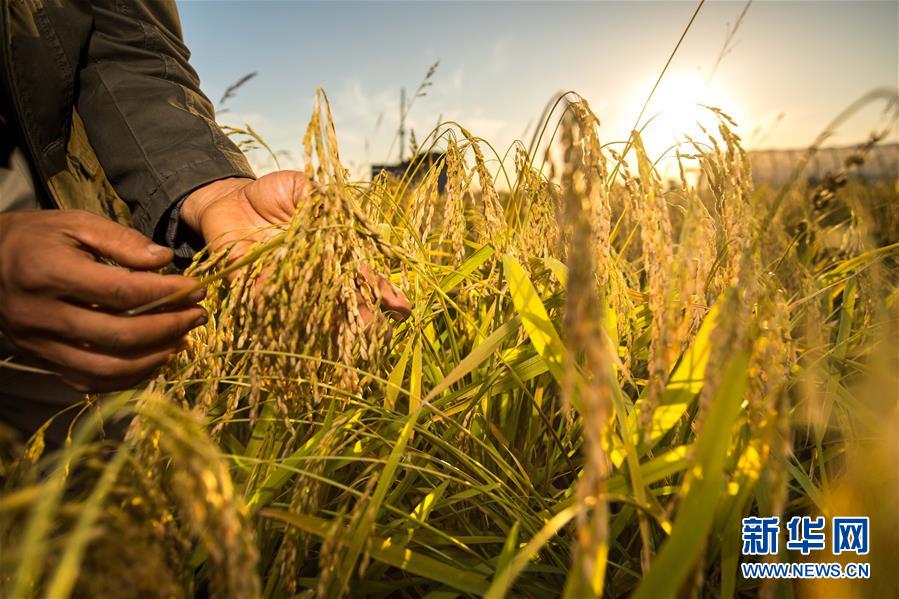 （新華全媒頭條&middot;圖文互動(dòng)）（5）上下同心再出發(fā)&mdash;&mdash;習(xí)近平總書記同出席2019年全國兩會(huì)人大代表、政協(xié)委員共商國是紀(jì)實(shí)