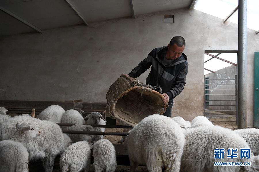 （新華全媒頭條&middot;圖文互動）（1）春天里的5個&ldquo;戰(zhàn)貧&rdquo;瞬間&mdash;&mdash;習近平總書記關于脫貧攻堅決策部署指引攻克最后的深貧堡壘