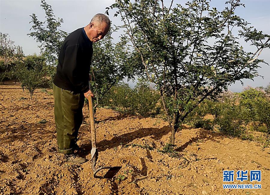 （新華全媒頭條&middot;圖文互動）（4）春天里的5個&ldquo;戰(zhàn)貧&rdquo;瞬間&mdash;&mdash;習近平總書記關于脫貧攻堅決策部署指引攻克最后的深貧堡壘