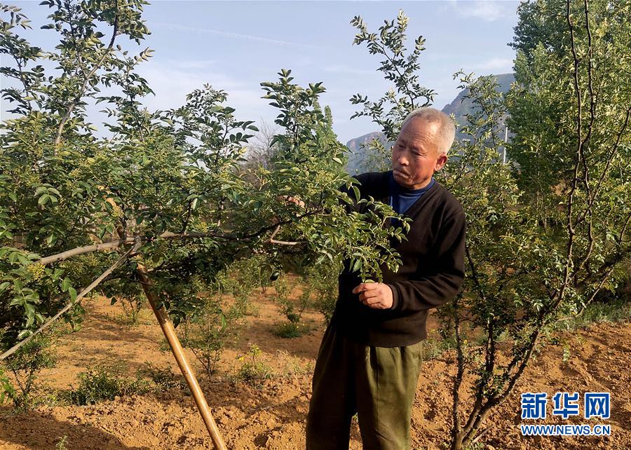 （新華全媒頭條&middot;圖文互動）（5）春天里的5個&ldquo;戰(zhàn)貧&rdquo;瞬間&mdash;&mdash;習近平總書記關于脫貧攻堅決策部署指引攻克最后的深貧堡壘