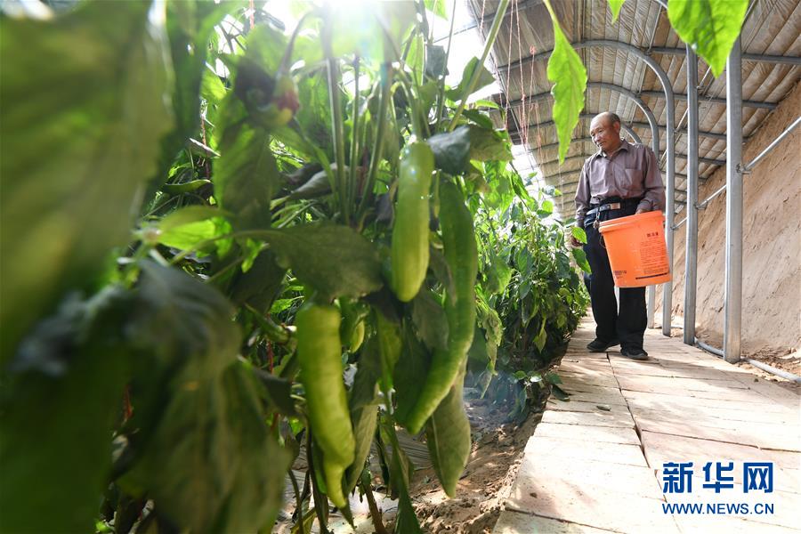 （新華全媒頭條&middot;圖文互動）（15）春天里的5個&ldquo;戰(zhàn)貧&rdquo;瞬間&mdash;&mdash;習近平總書記關于脫貧攻堅決策部署指引攻克最后的深貧堡壘