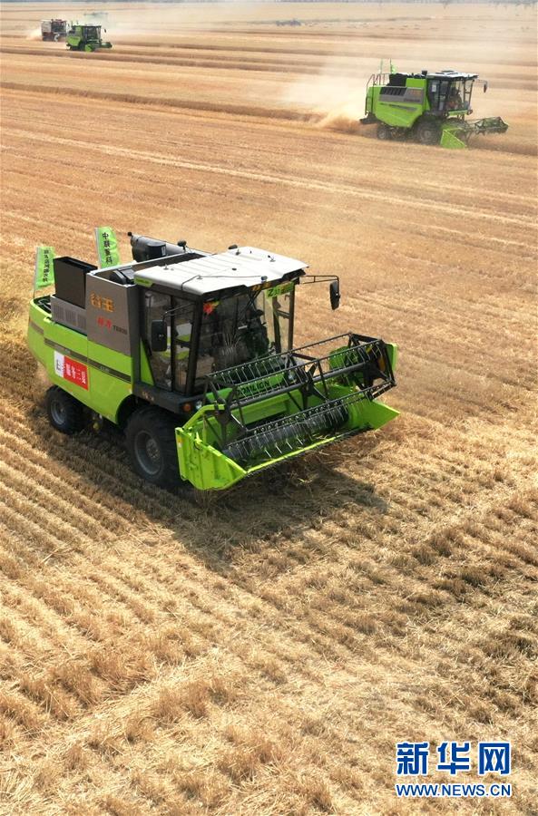 （在習(xí)近平新時代中國特色社會主義思想指引下&mdash;&mdash;新時代新作為新篇章&middot;習(xí)近平總書記關(guān)切事&middot;圖文互動）（13）讓農(nóng)民挑上&ldquo;金扁擔&rdquo;&mdash;&mdash;農(nóng)業(yè)現(xiàn)代化的生動實踐掃描