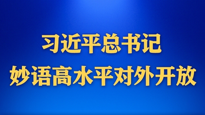 習(xí)近平總書記妙語高水平對外開放