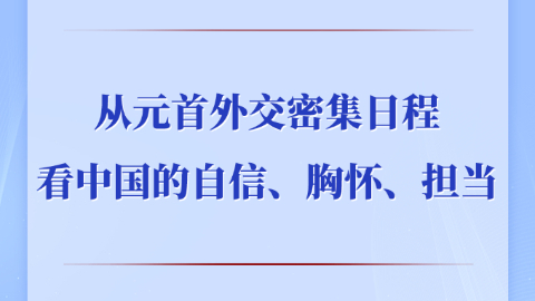 從元首外交密集日程看中國(guó)的自信、胸懷、擔(dān)當(dāng)