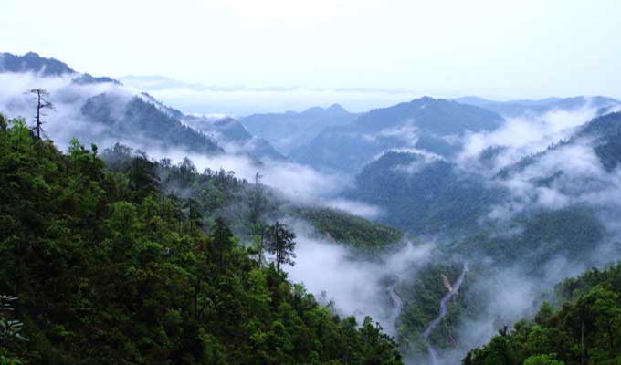 廣東乳源、廣東乳陽林場、云南華寧葫蘆口電站