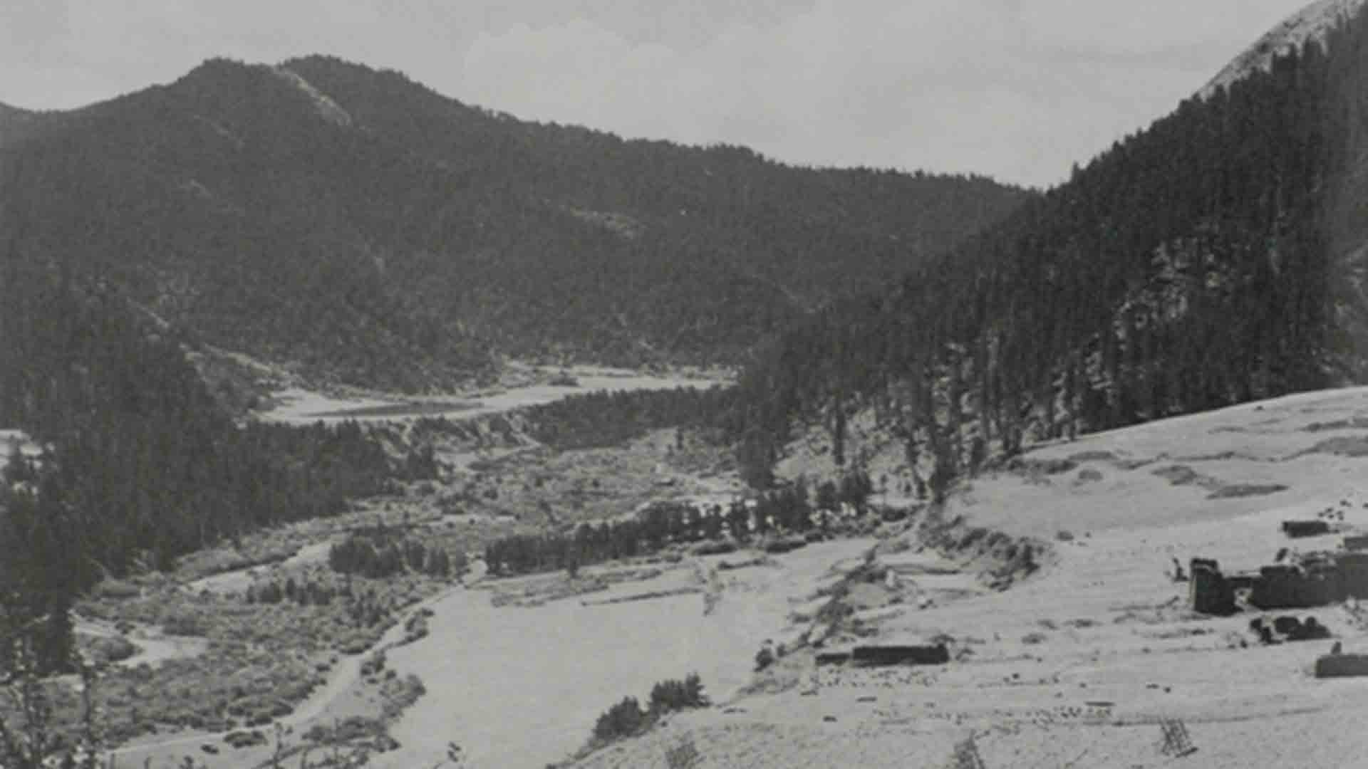 南下還是北上，決定革命前途的關鍵之爭