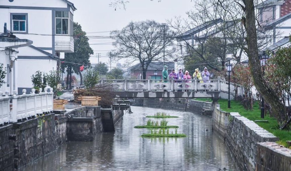 &ldquo;小小河長&rdquo;護綠治水保環(huán)境