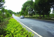 習近平：建&ldquo;四好農(nóng)村路&rdquo;