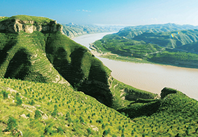 張建龍：&ldquo;三北工程&rdquo;實現(xiàn)生態(tài)、經(jīng)濟、社會效益&ldquo;多贏&rdquo;