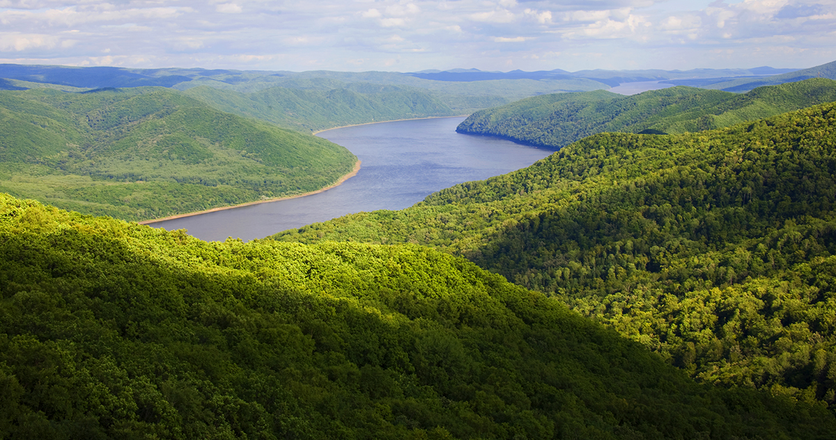張建龍：&ldquo;三北工程&rdquo;實現(xiàn)生態(tài)、經(jīng)濟、社會效益&ldquo;多贏&rdquo;